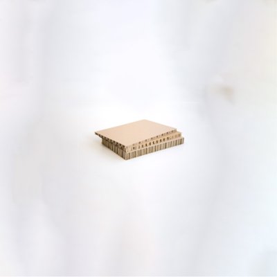 Coala Air board