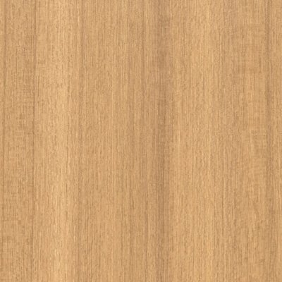 Coala Interior film Wood