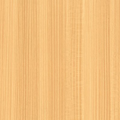 Coala Interior film Wood