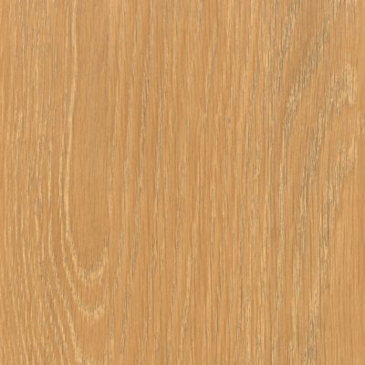 Coala Interior film Wood