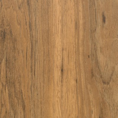 Coala Interior film Wood