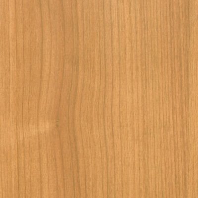 Coala Interior film Wood
