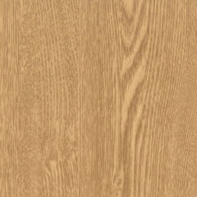 Coala Interior film Wood