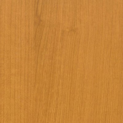 Coala Interior film Wood