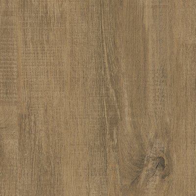 Coala Interior film Wood