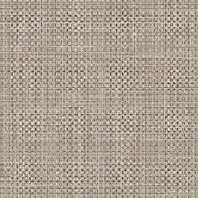 Coala Interior Film Fabric