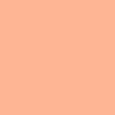 Coala Interior Film Solid Colours