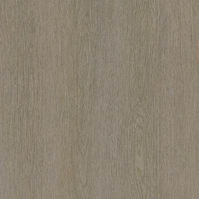 Coala Interior film Wood