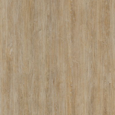 Coala Interior film Wood