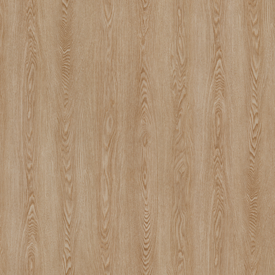 Coala Interior film Wood