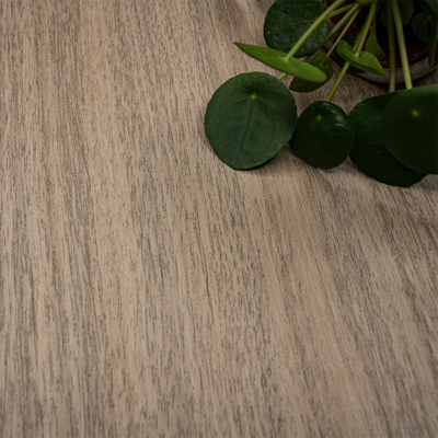 Coala Interior film Wood