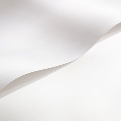 Cocoon Silk