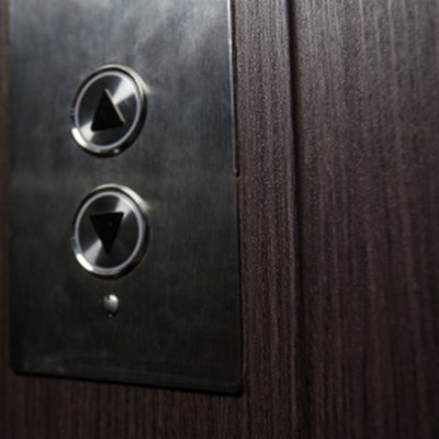 Coala Interior film Wood
