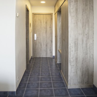 Coala Interior film Wood
