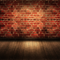 Coala Sticky Wall W