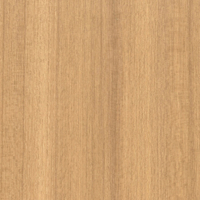 Coala Interior film Wood