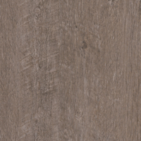 Coala Interior film Wood