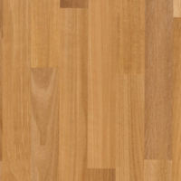 Coala Interior film Wood