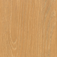 Coala Interior film Wood