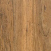 Coala Interior film Wood