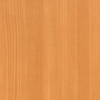 Coala Interior film Wood