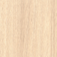 Coala Interior film Wood