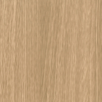 Coala Interior film Wood