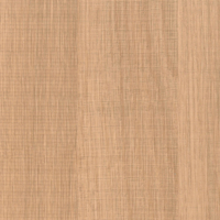 Coala Interior film Wood