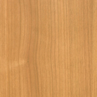 Coala Interior film Wood