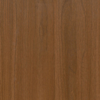 Coala Interior film Wood