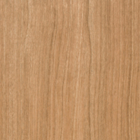 Coala Interior film Wood