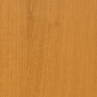 Coala Interior film Wood