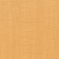 Coala Interior film Wood