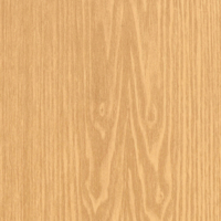 Coala Interior film Wood