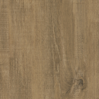 Coala Interior film Wood
