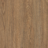 Coala Interior film Wood