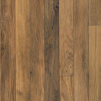 Coala Interior film Wood