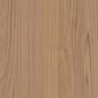 Coala Interior film Wood