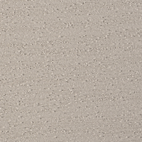 Coala Interior film Wood