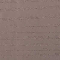 Coala Interior film Wood