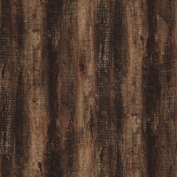 Coala Interior film Wood