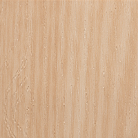 Coala Interior film Wood