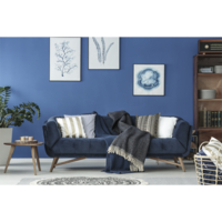 Coala Photo Gloss 240