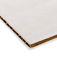 Corrugated board white