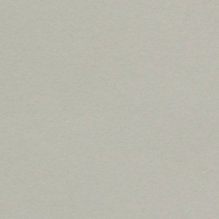 LOSO_MI2_CURIOUS_COLLECTION_SKIN_GREY_00_12062018.eps
