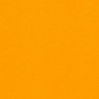 LOSO_MI2_OLIN_COLOURS_OLD_GOLD_00_12042023.eps