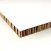 Coala Air board