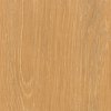 Coala Interior film Wood