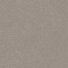 Coala Interior Film Concrete