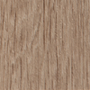 Coala Interior film Wood